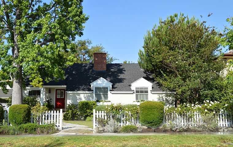 Tree Spraying & Fertilization