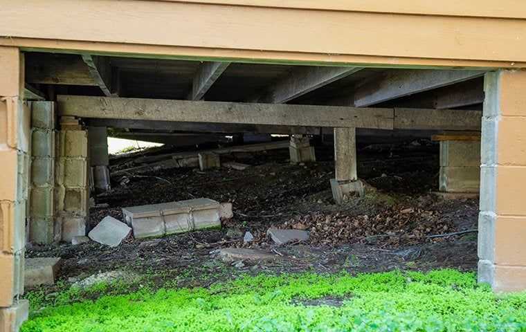 Crawl Space & Attic Clean Outs